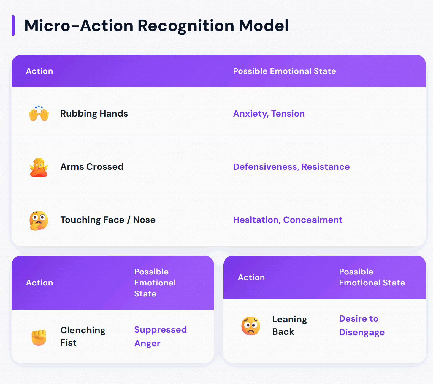 Micro-Action Recognition Model - MinsightAI